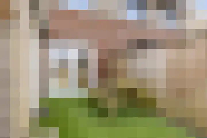 Boveneind 67 Leek thumbnail 69