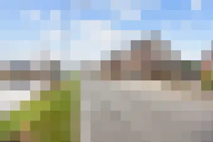 Boveneind 67 Leek thumbnail 7