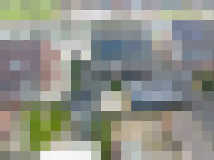 Boveneind 67 Leek thumbnail 70