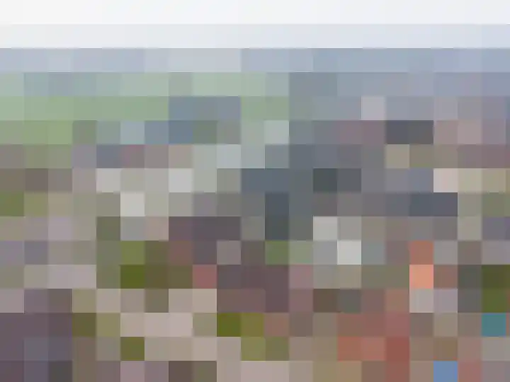 Boveneind 67 Leek thumbnail 71