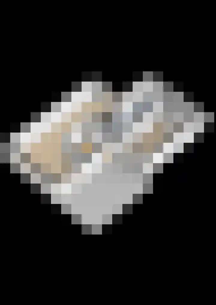 Boveneind 67 Leek thumbnail 79