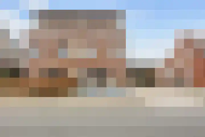 Boveneind 67 Leek thumbnail 9
