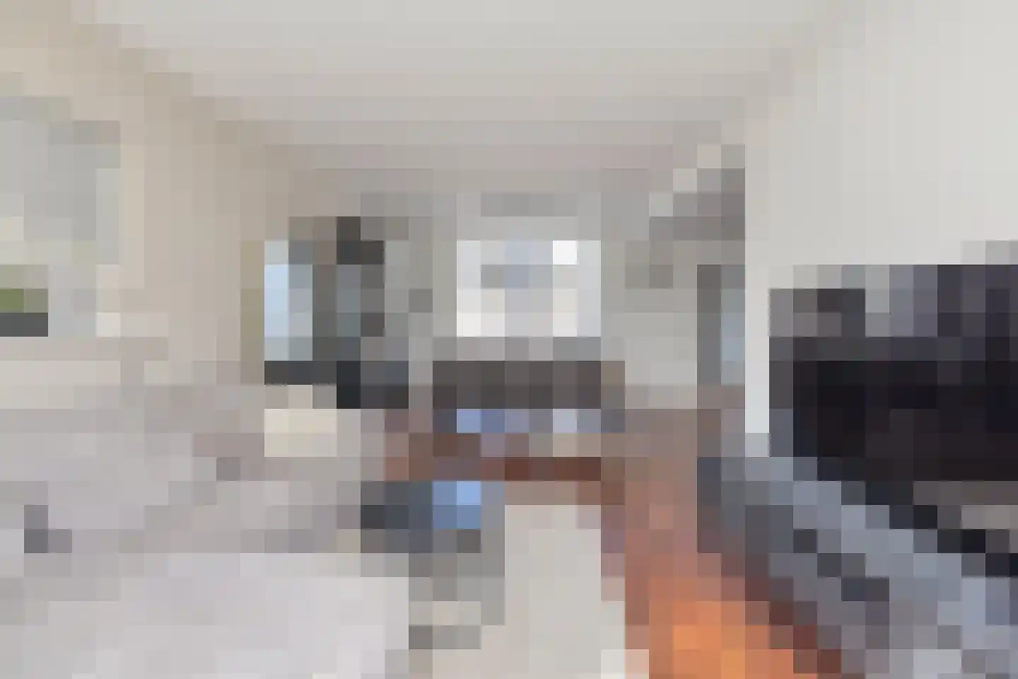 Boveneind 80 Leek thumbnail 14