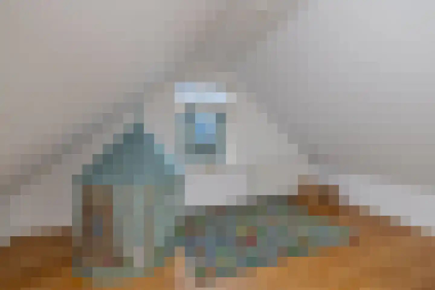 Boveneind 80 Leek thumbnail 30