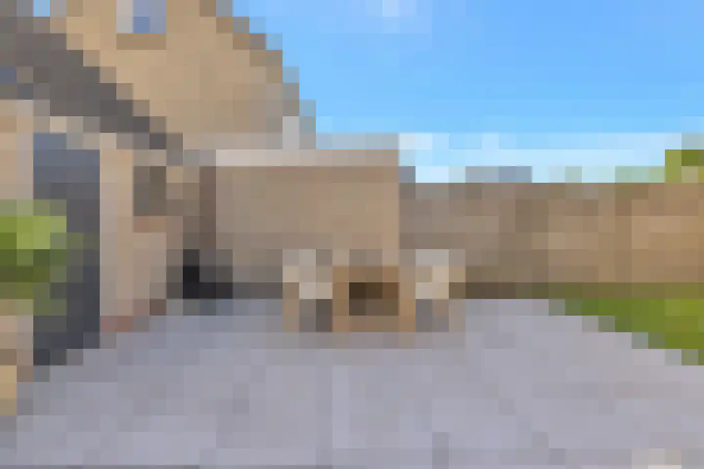 Boveneind 80 Leek thumbnail 34