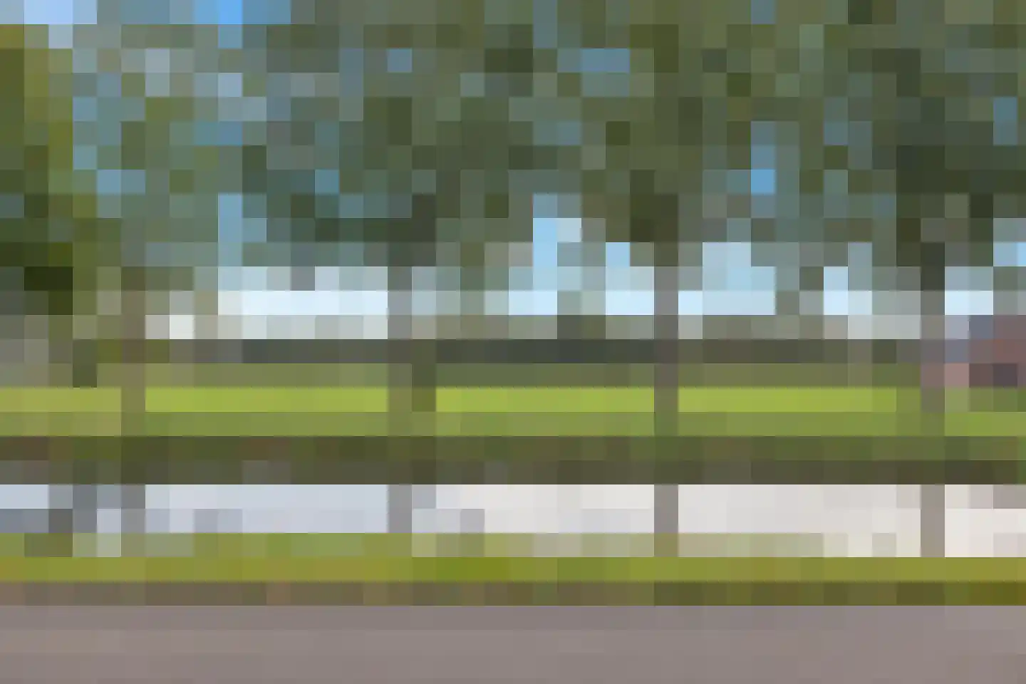 Boveneind 80 Leek thumbnail 39