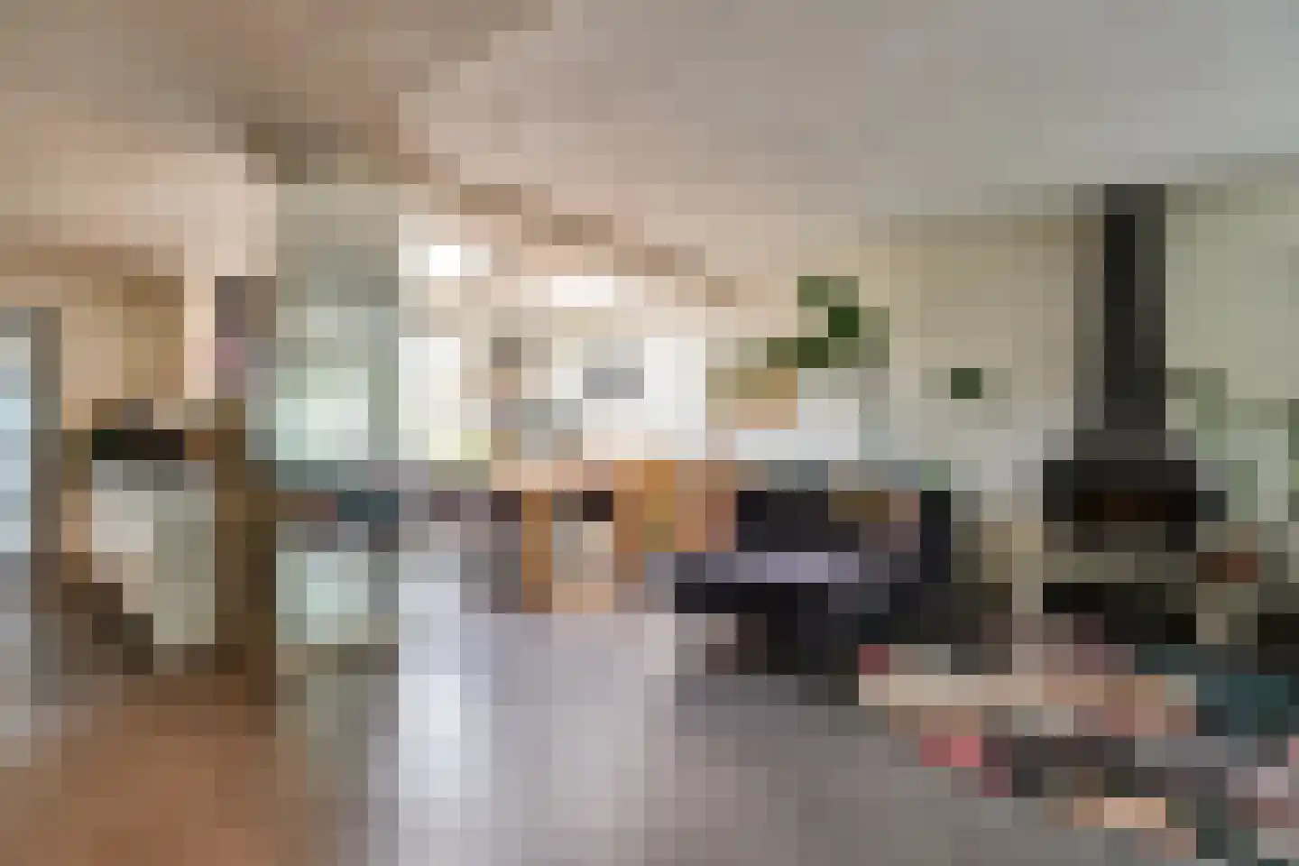 Boveneind 83 Leek thumbnail 13