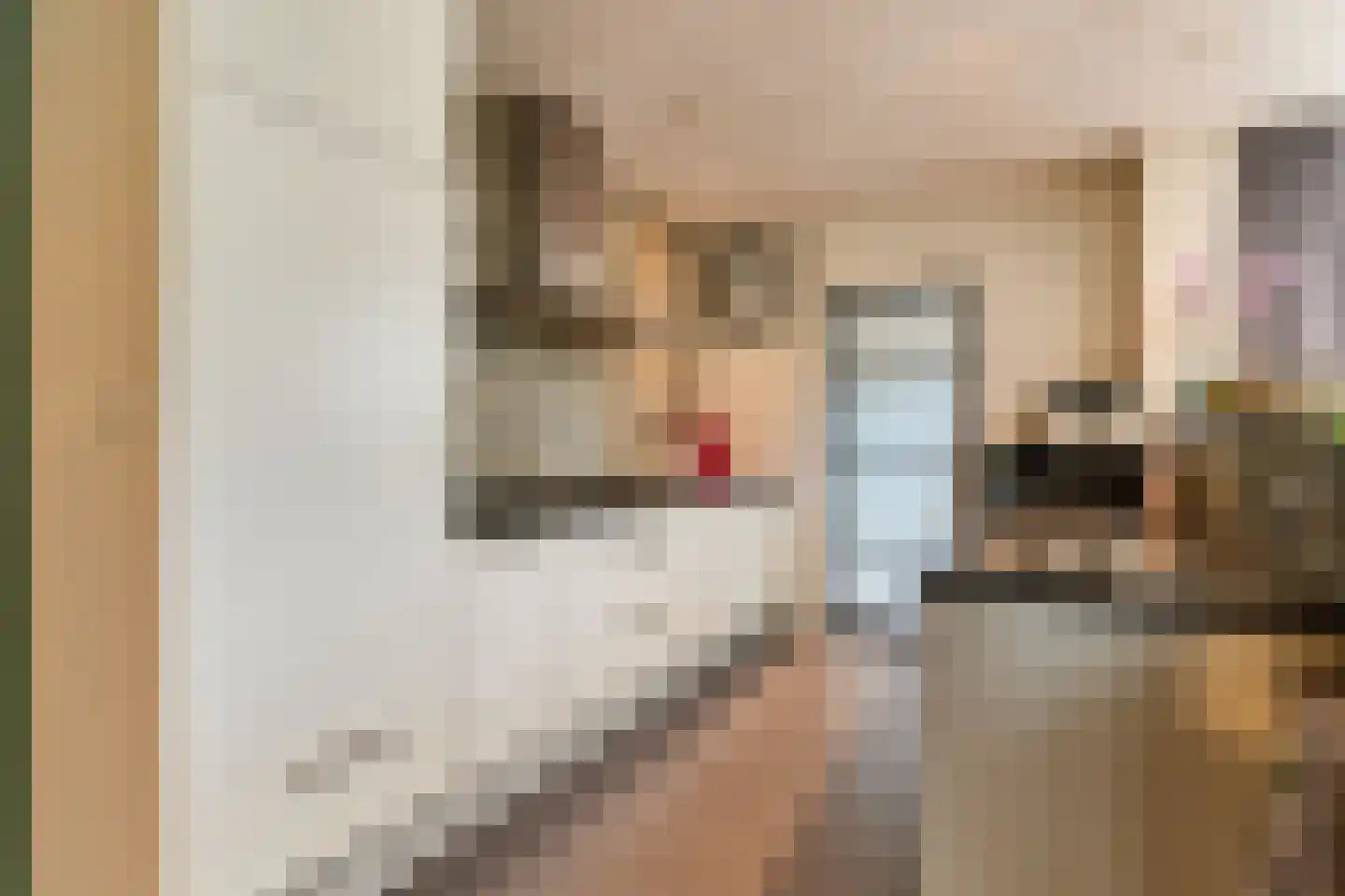 Boveneind 83 Leek thumbnail 15