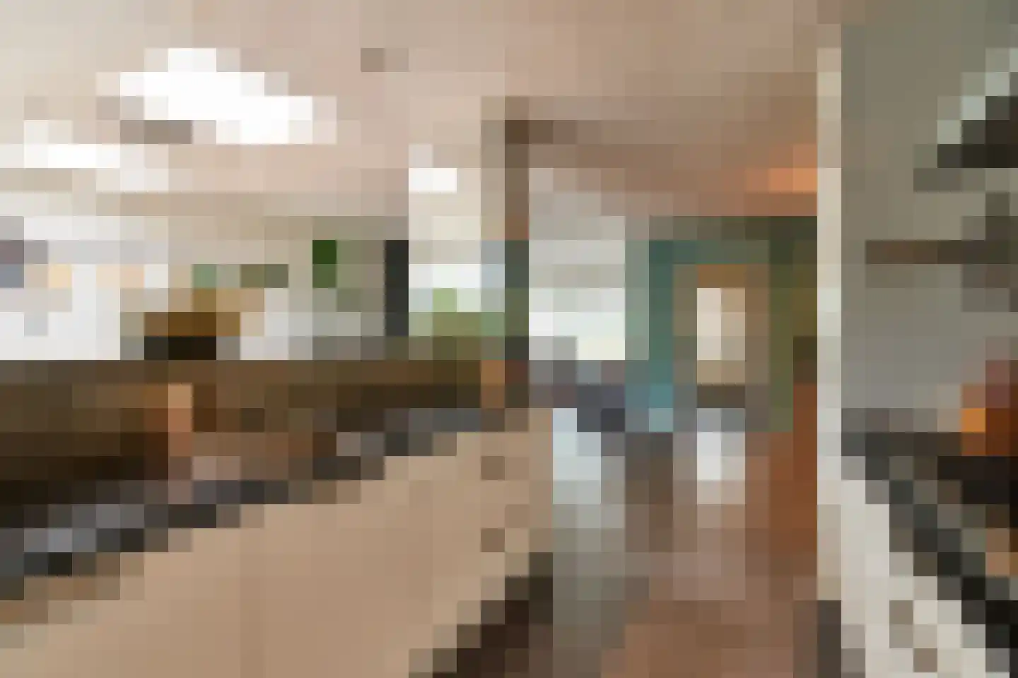 Boveneind 83 Leek thumbnail 16