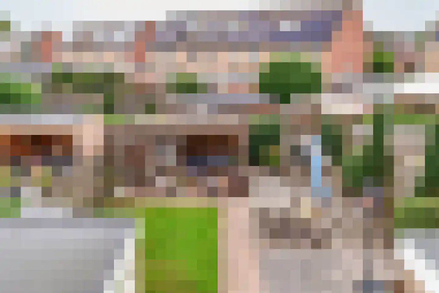 Boveneind 83 Leek thumbnail 22