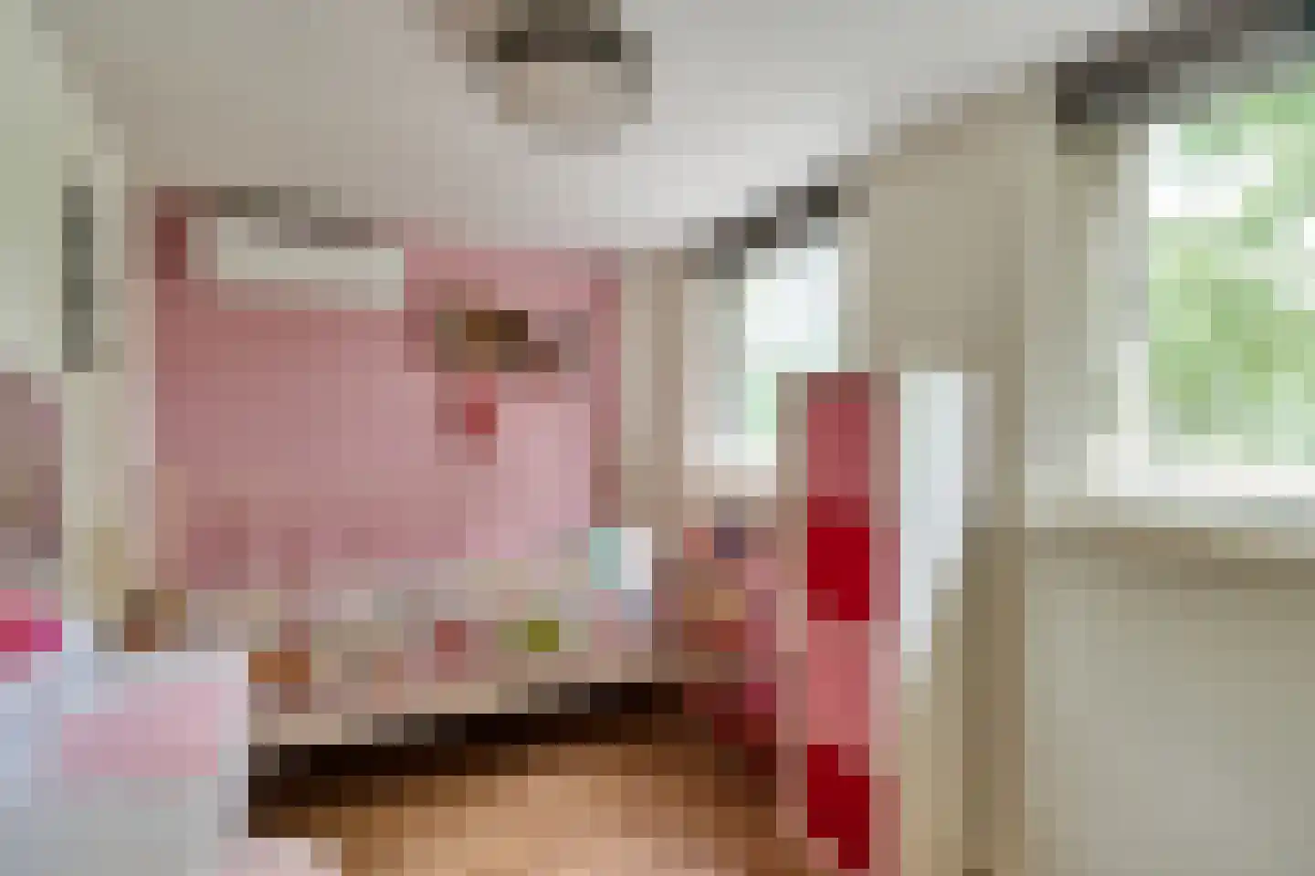Boveneind 83 Leek thumbnail 23