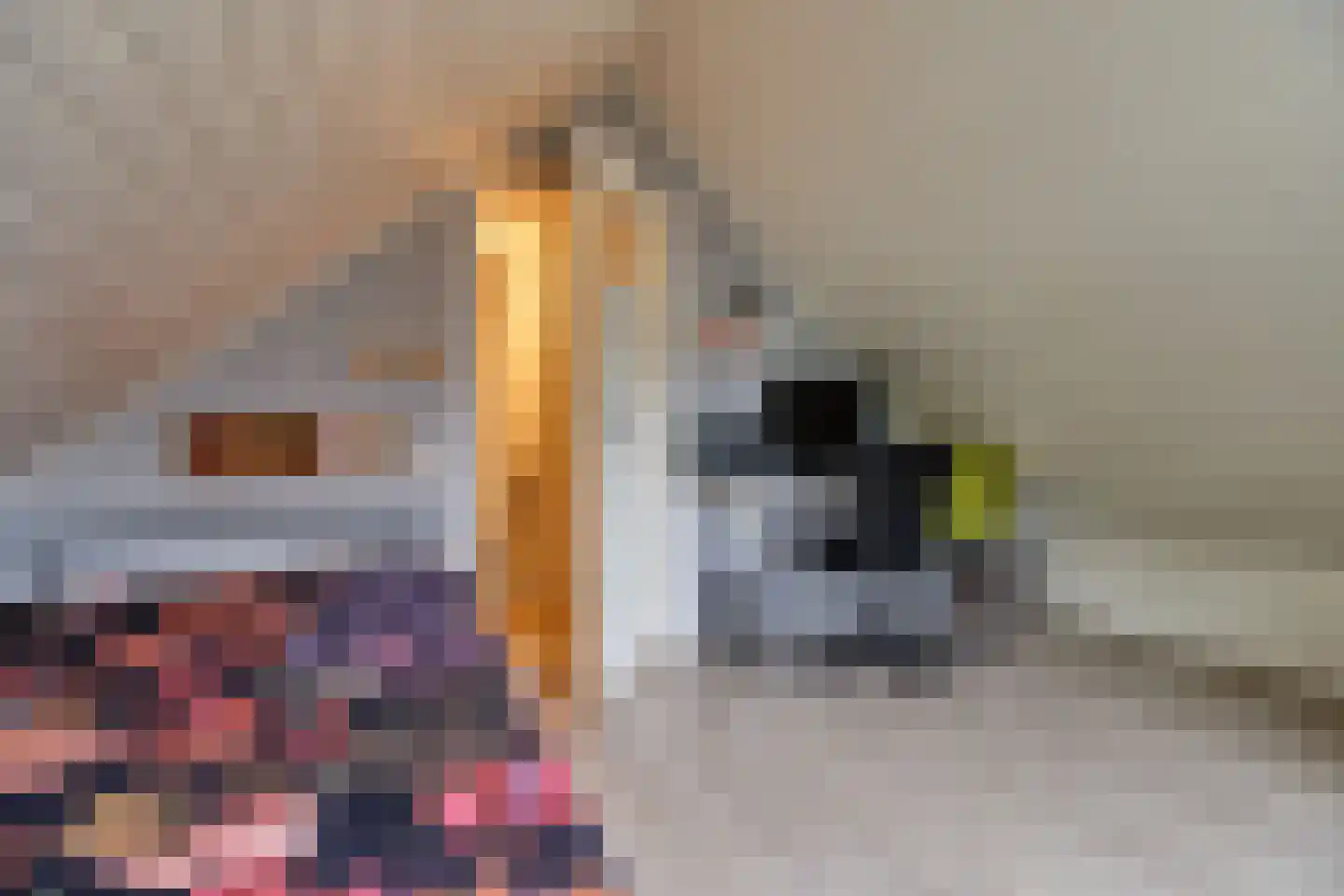 Boveneind 83 Leek thumbnail 27