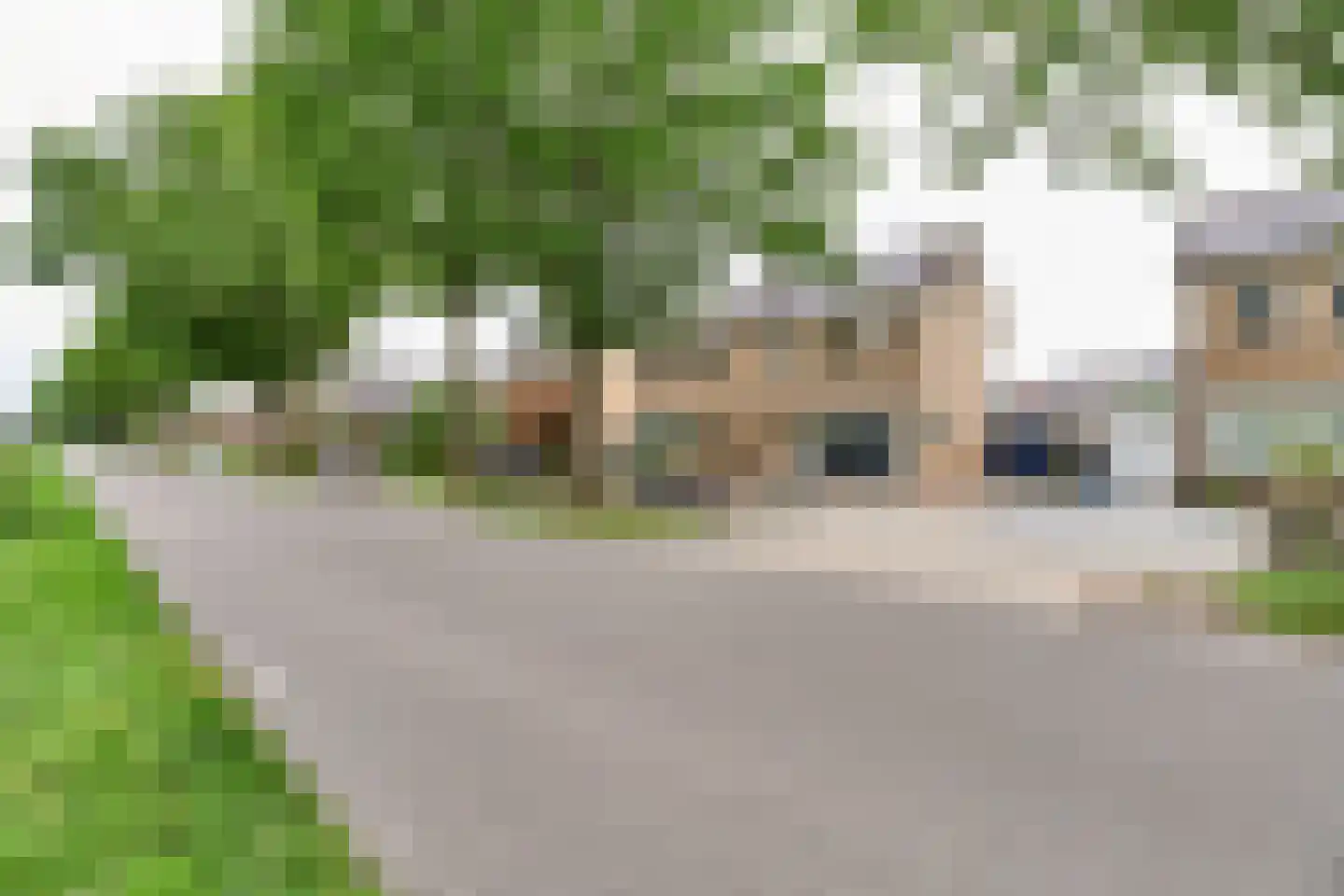 Boveneind 83 Leek thumbnail 35