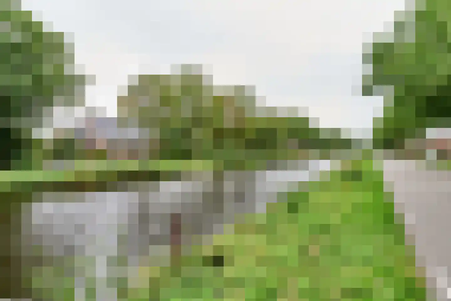 Boveneind 83 Leek thumbnail 36