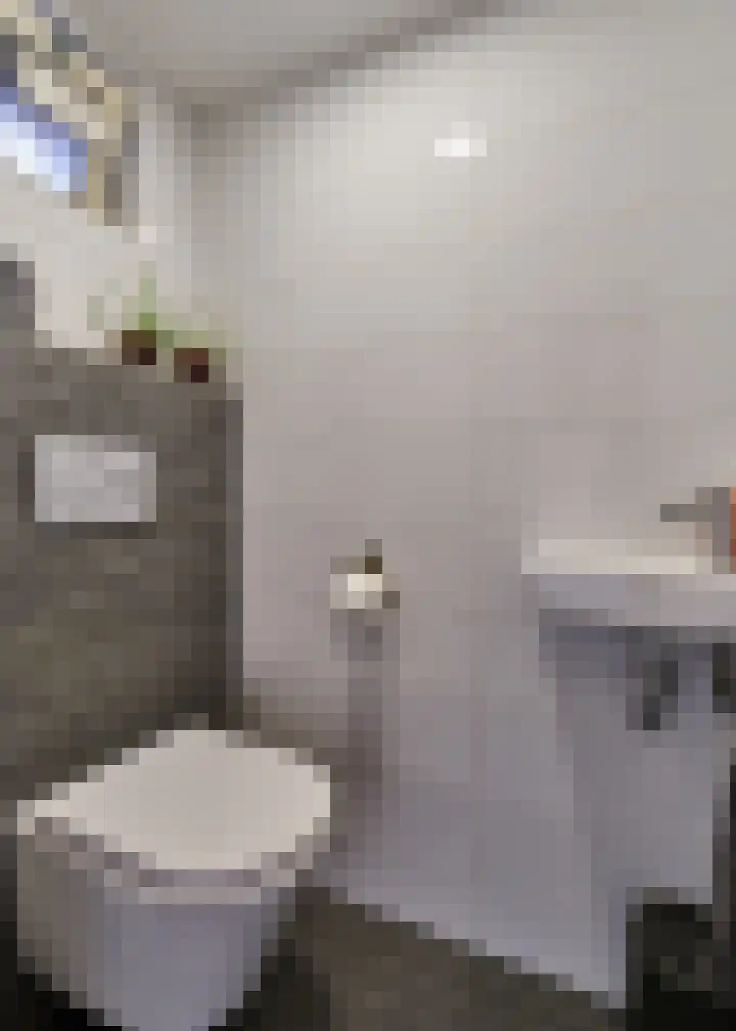 Boveneind 83 Leek thumbnail 6