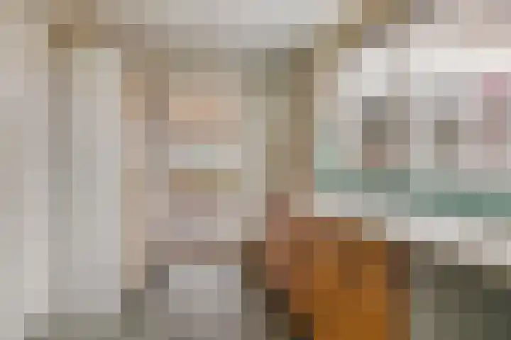 Boveneind 95 Leek thumbnail 11