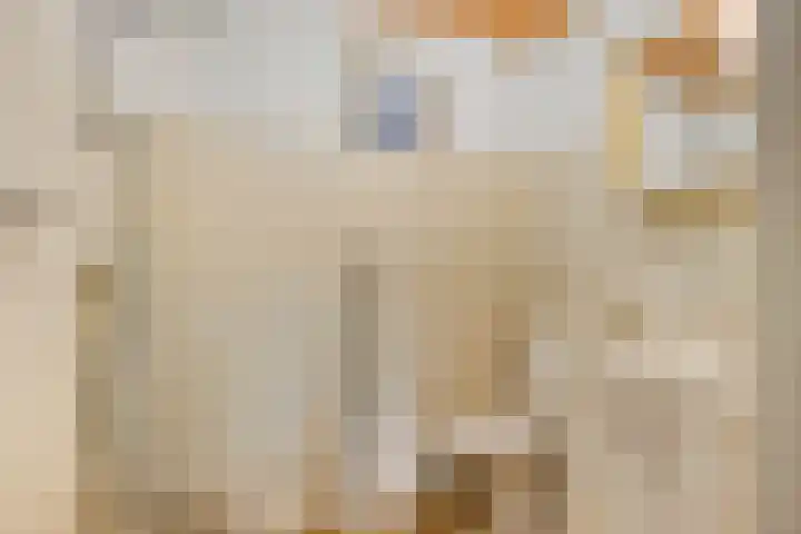 Boveneind 95 Leek thumbnail 24