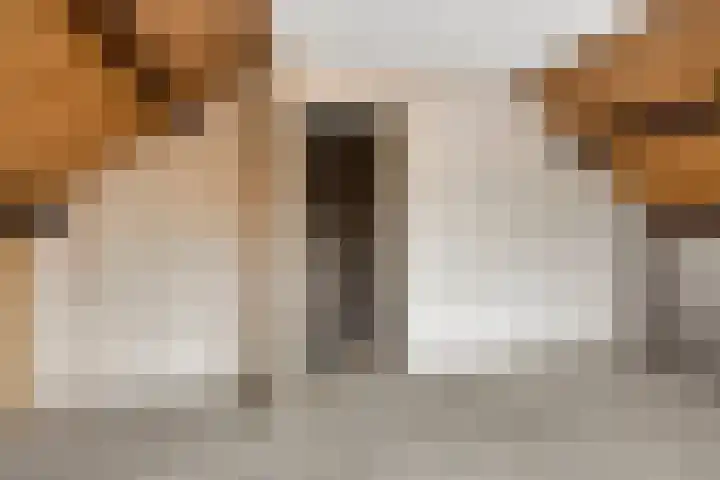 Boveneind 95 Leek thumbnail 27