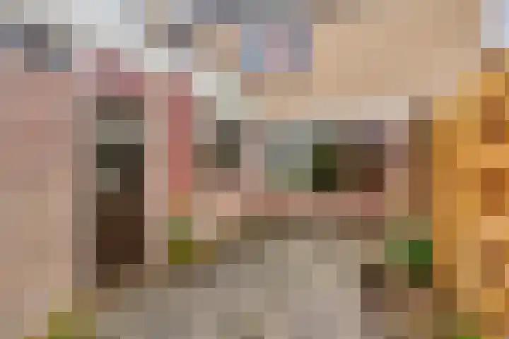 Boveneind 95 Leek thumbnail 31