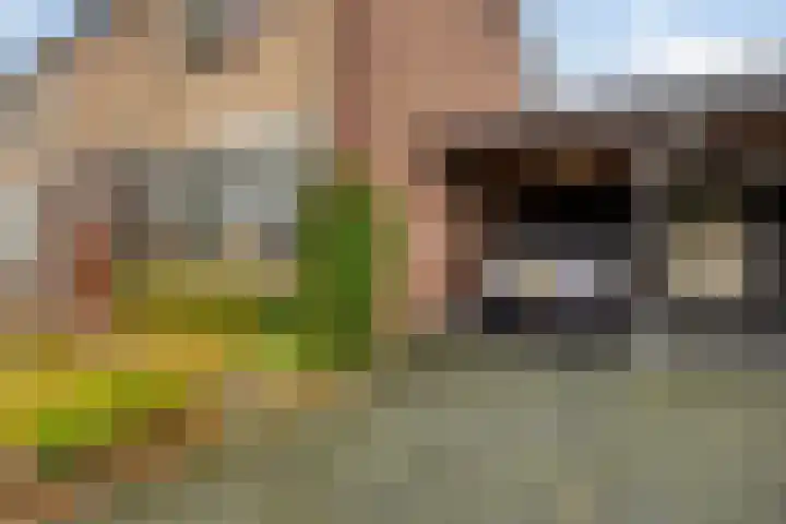 Boveneind 95 Leek thumbnail 38