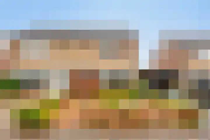 Boveneind 95 Leek thumbnail 39