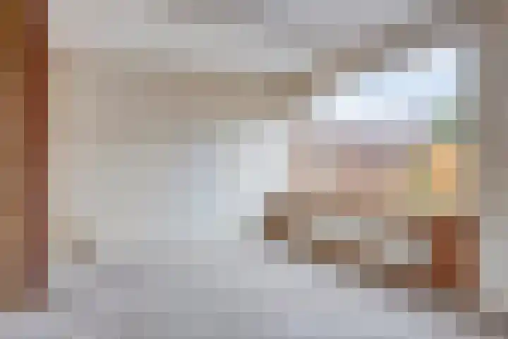 Boveneind 95 Leek thumbnail 7