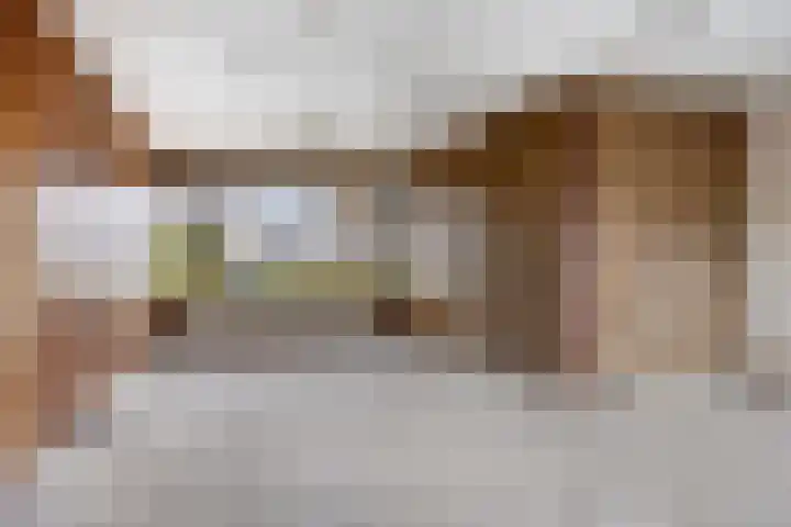 Boveneind 95 Leek thumbnail 8