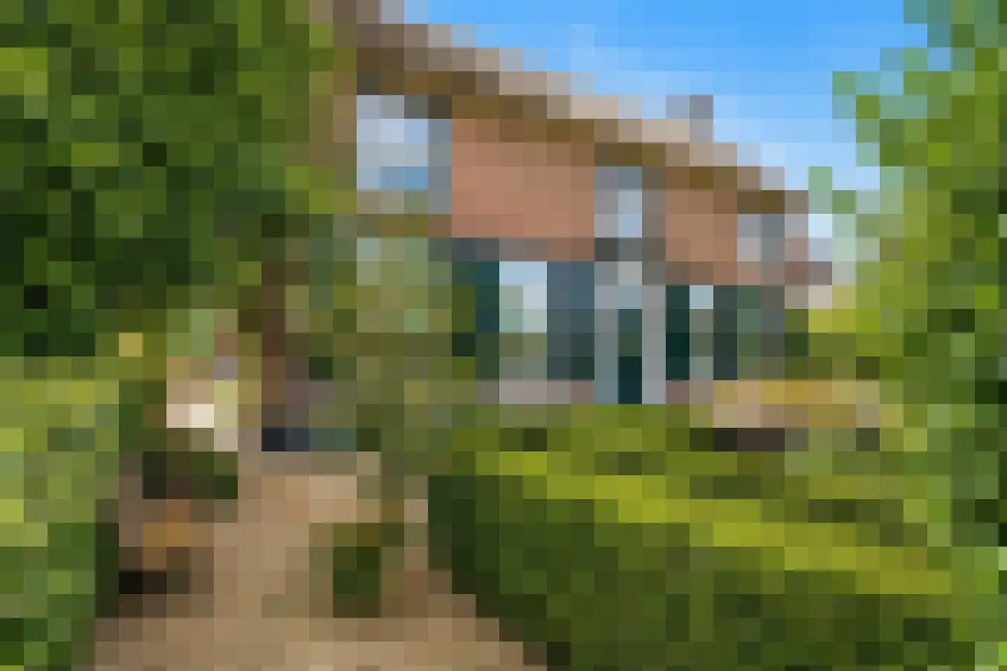 Boveneindsestraat 14 Kesteren