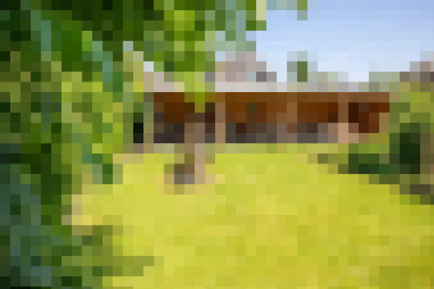 Boveneindsestraat 14 Kesteren thumbnail 10