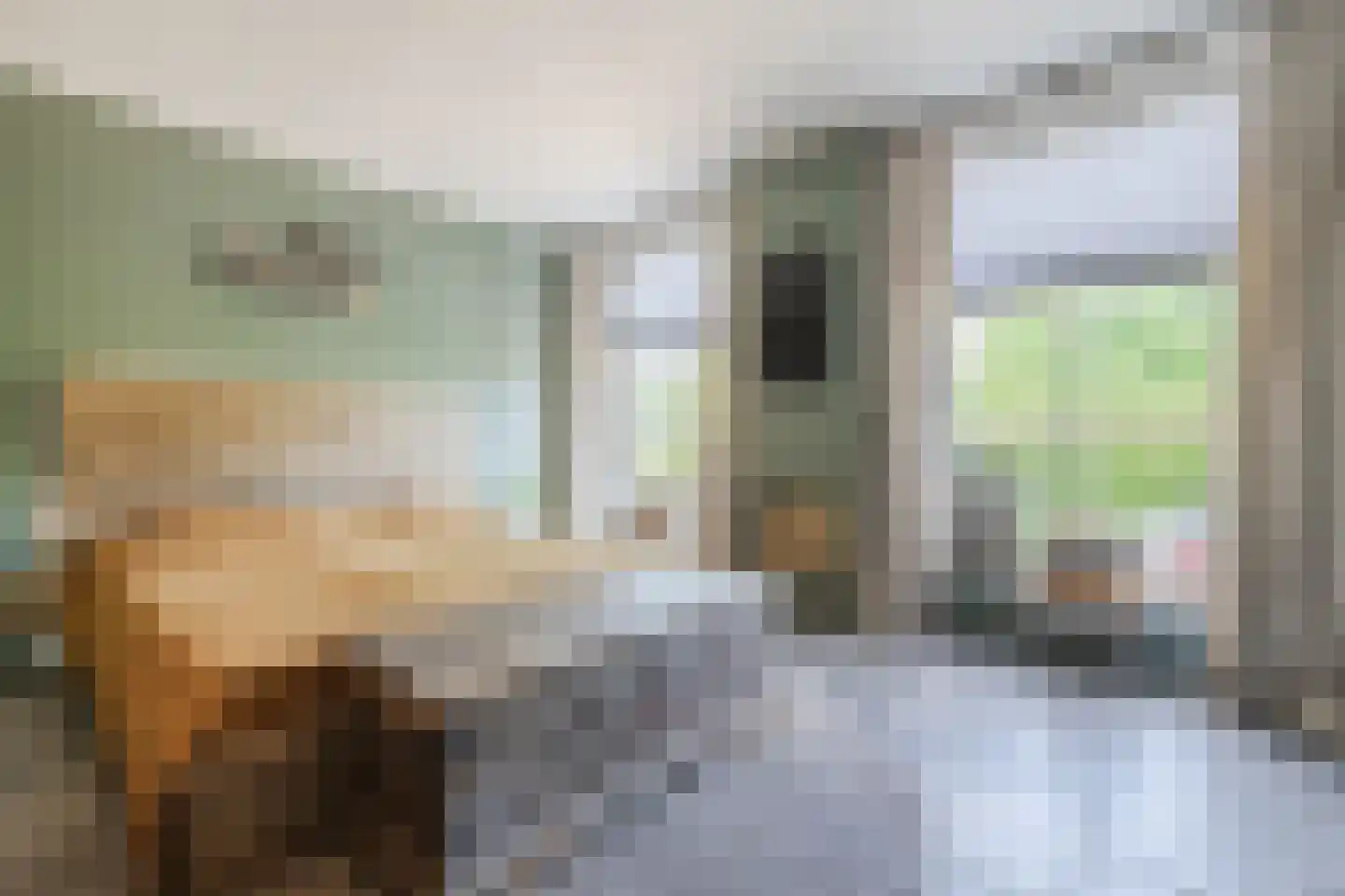 Boveneindsestraat 14 Kesteren thumbnail 11
