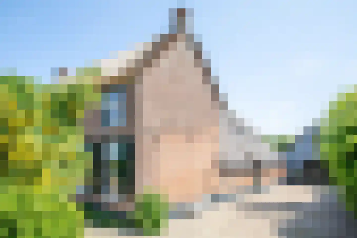 Boveneindsestraat 14 Kesteren thumbnail 14