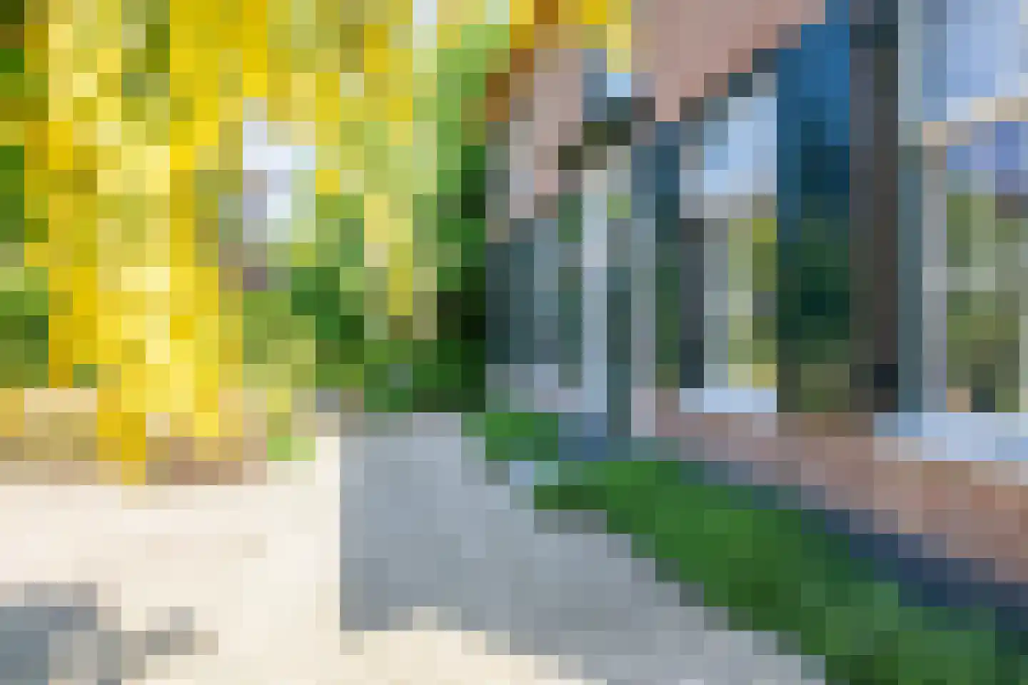 Boveneindsestraat 14 Kesteren thumbnail 15