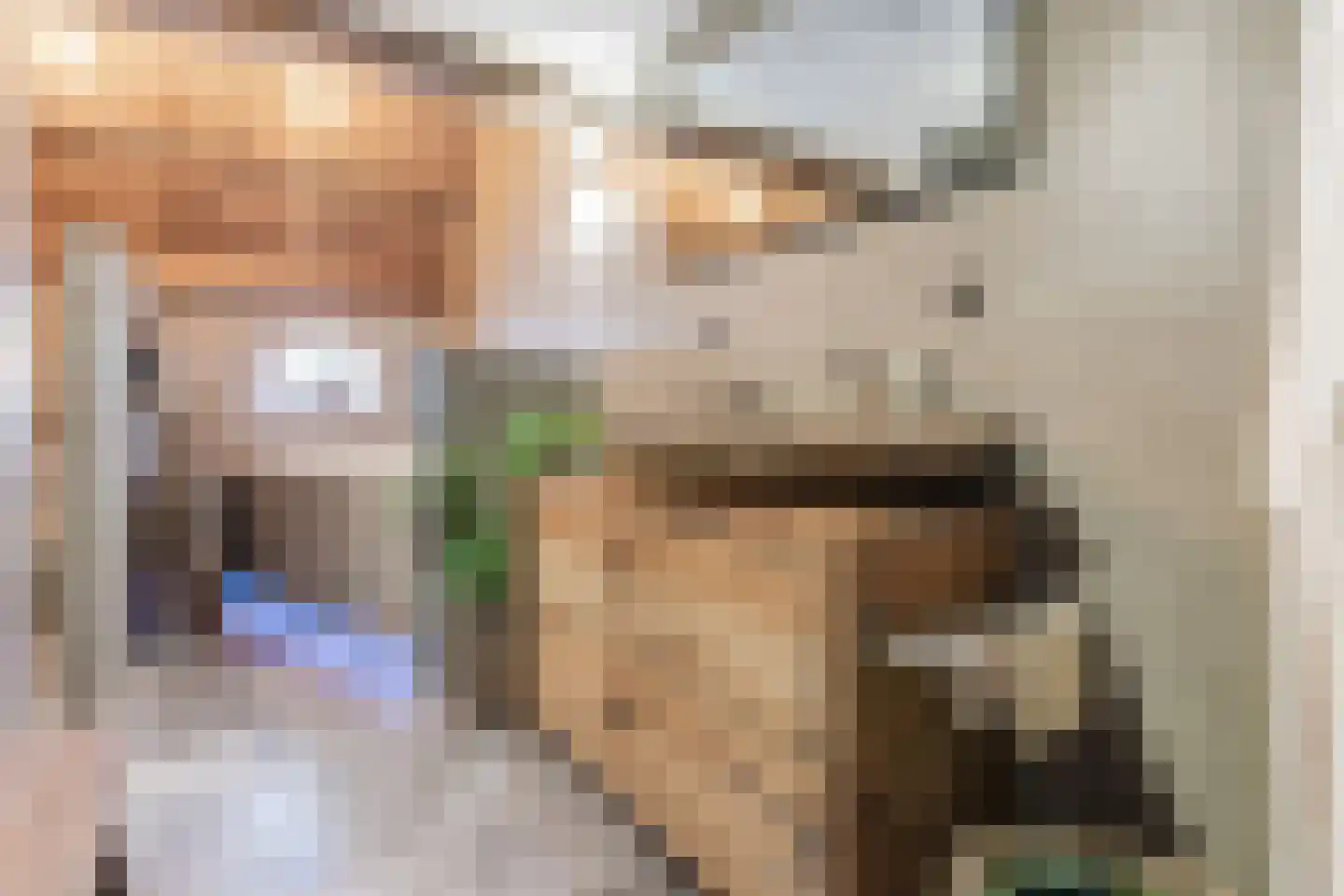 Boveneindsestraat 14 Kesteren thumbnail 19