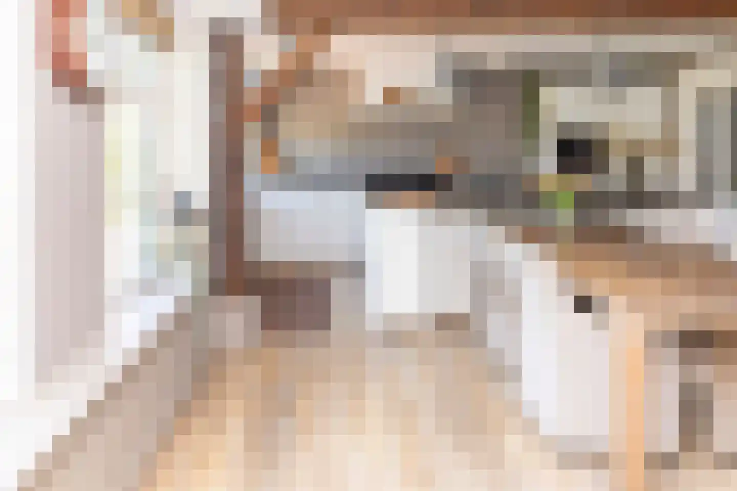 Boveneindsestraat 14 Kesteren thumbnail 21