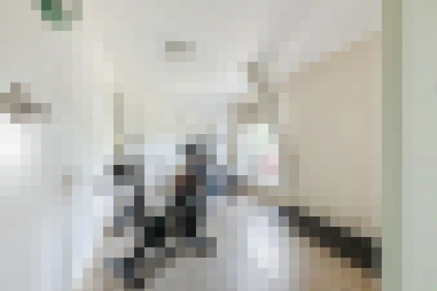 Boveneindsestraat 14 Kesteren thumbnail 23
