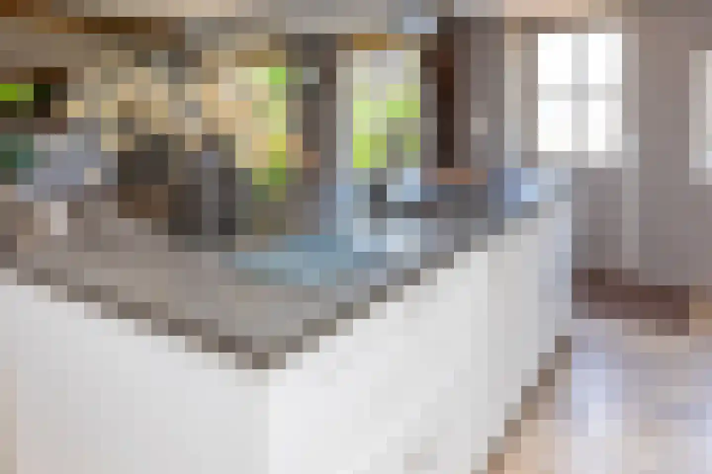 Boveneindsestraat 14 Kesteren thumbnail 24