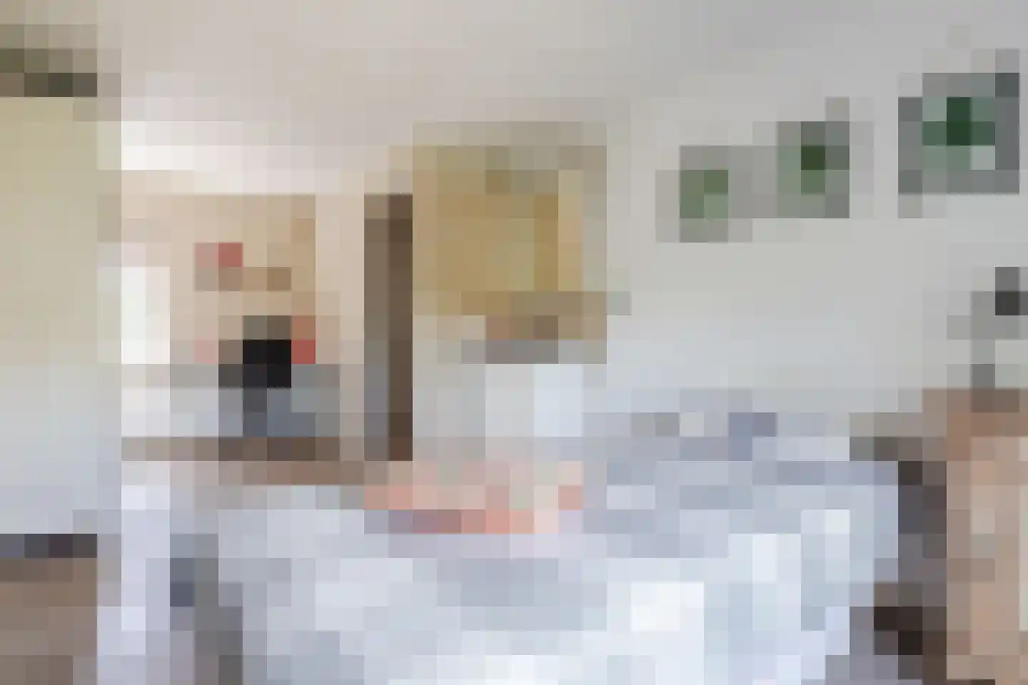 Boveneindsestraat 14 Kesteren thumbnail 26