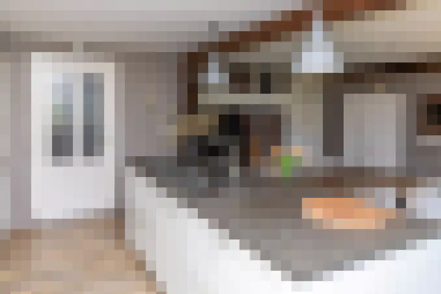 Boveneindsestraat 14 Kesteren thumbnail 27