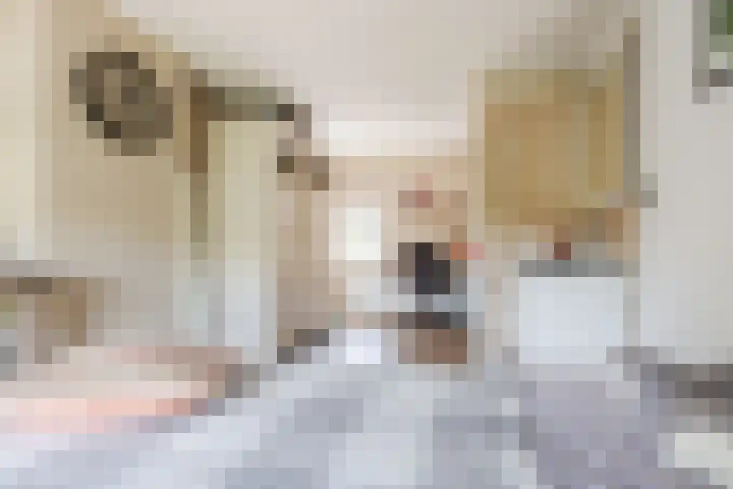 Boveneindsestraat 14 Kesteren thumbnail 27