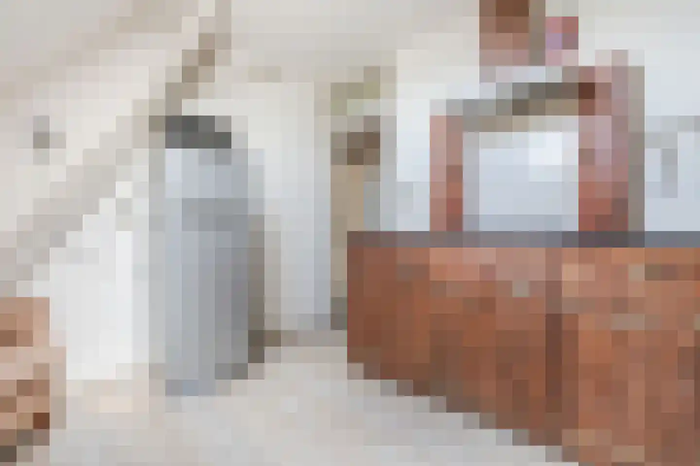 Boveneindsestraat 14 Kesteren thumbnail 34