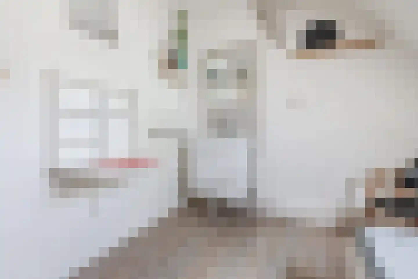 Boveneindsestraat 14 Kesteren thumbnail 37