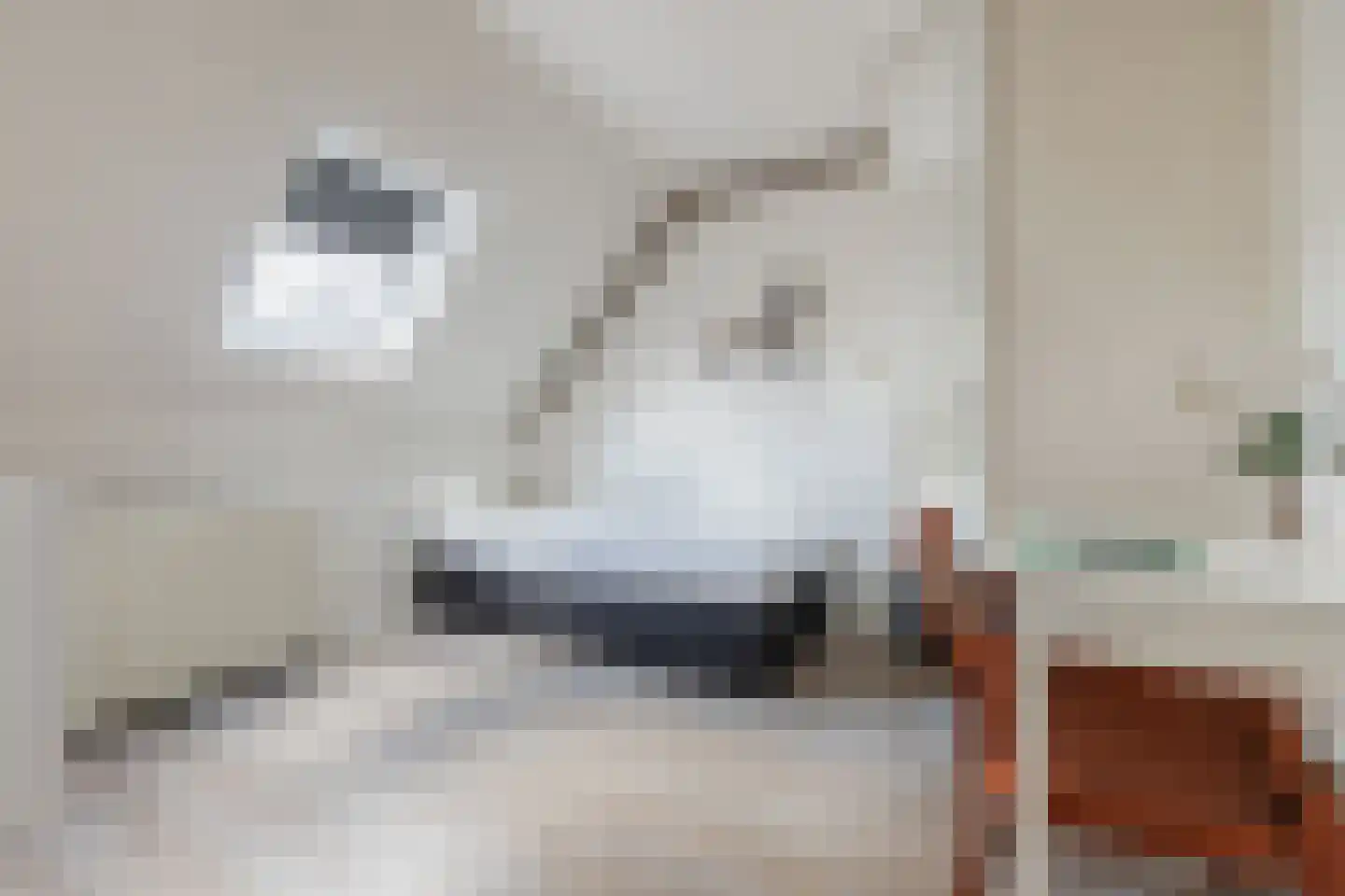 Boveneindsestraat 14 Kesteren thumbnail 38