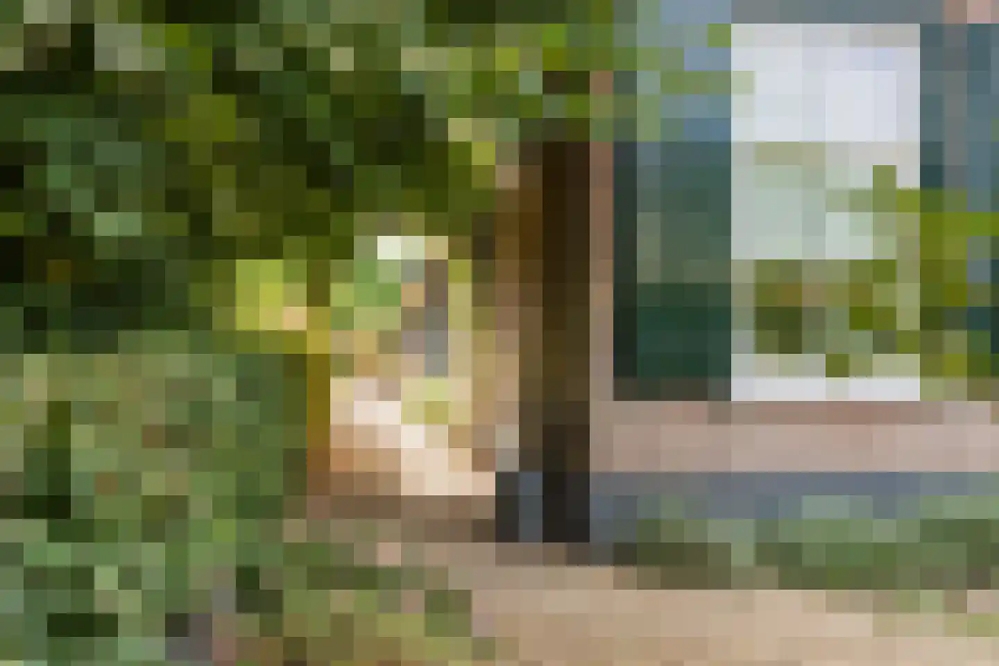 Boveneindsestraat 14 Kesteren thumbnail 39