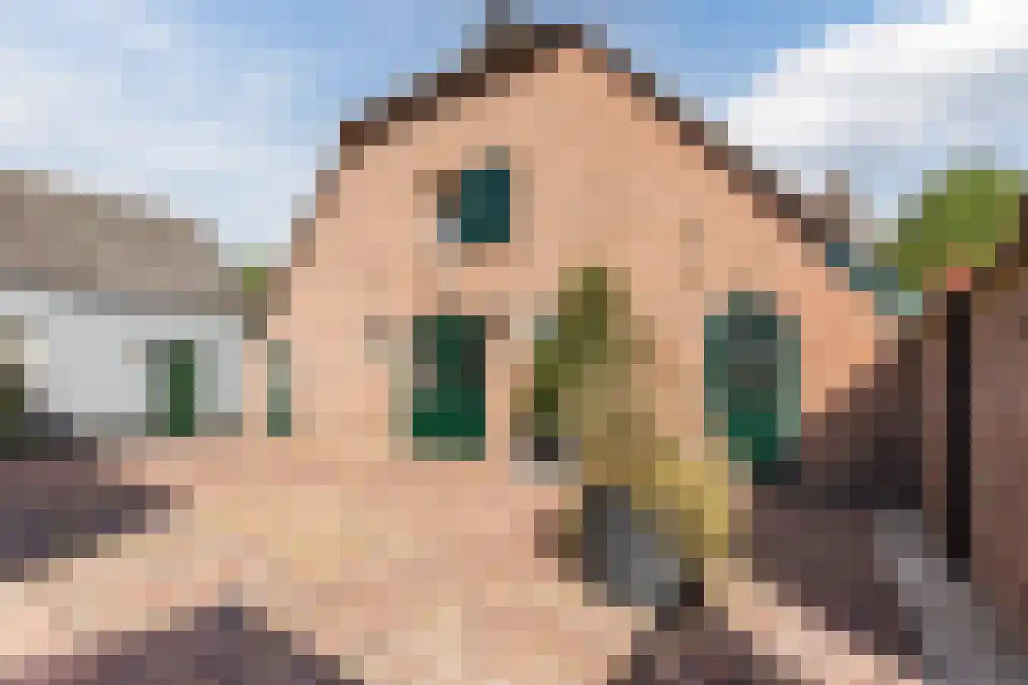 Boveneindsestraat 14 Kesteren thumbnail 40
