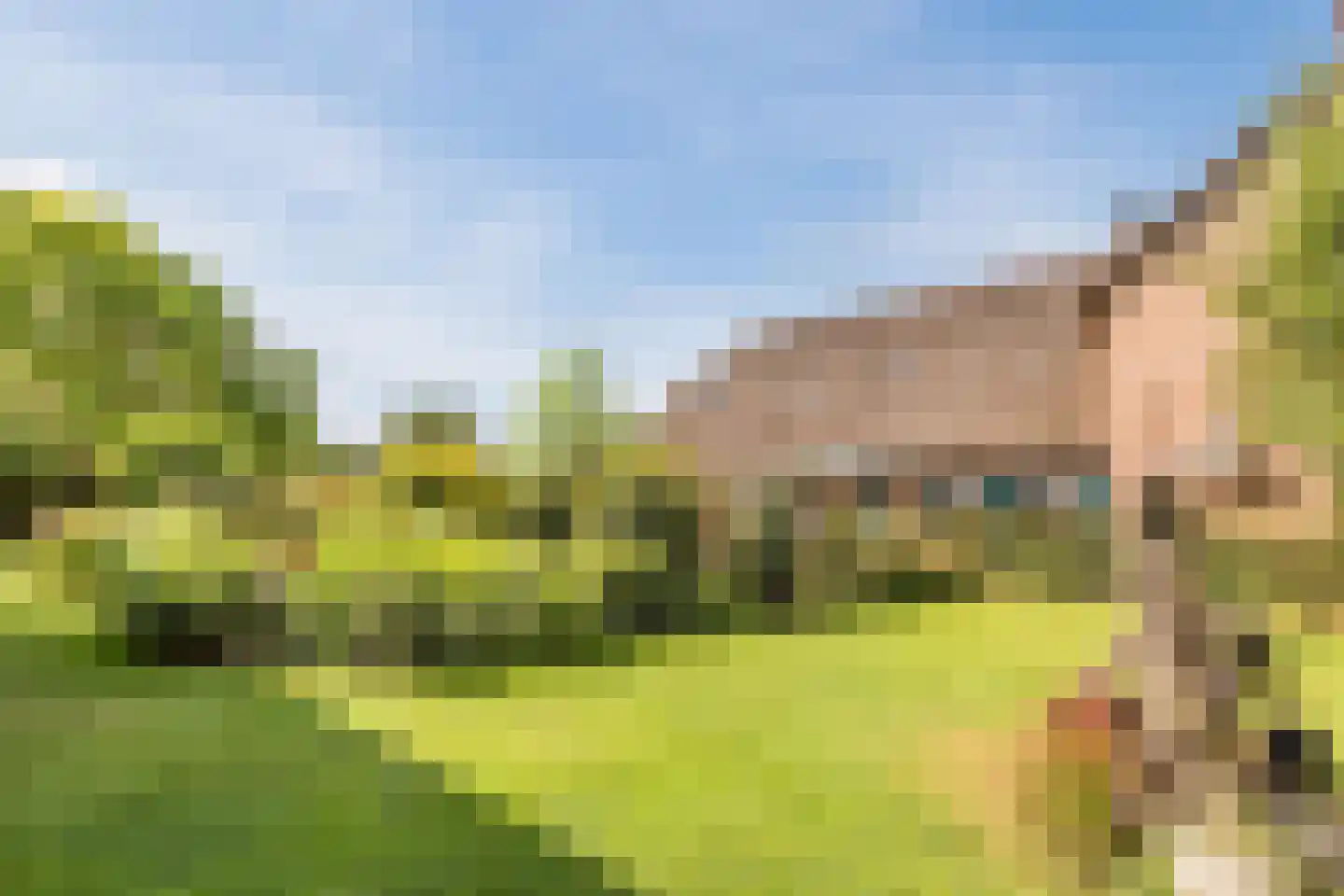 Boveneindsestraat 14 Kesteren thumbnail 43