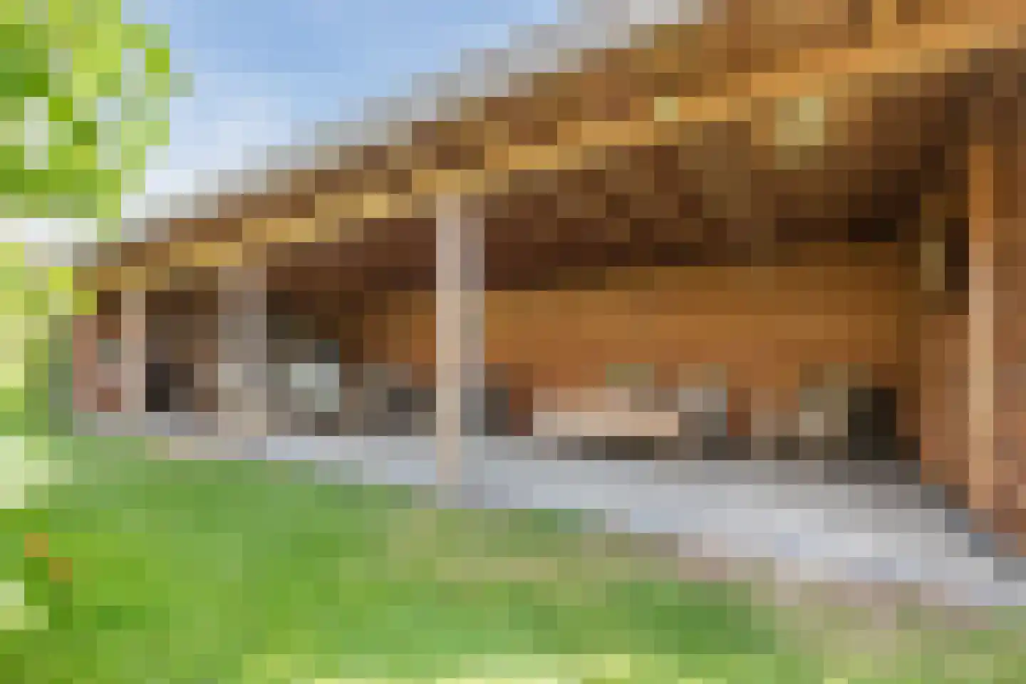 Boveneindsestraat 14 Kesteren thumbnail 45