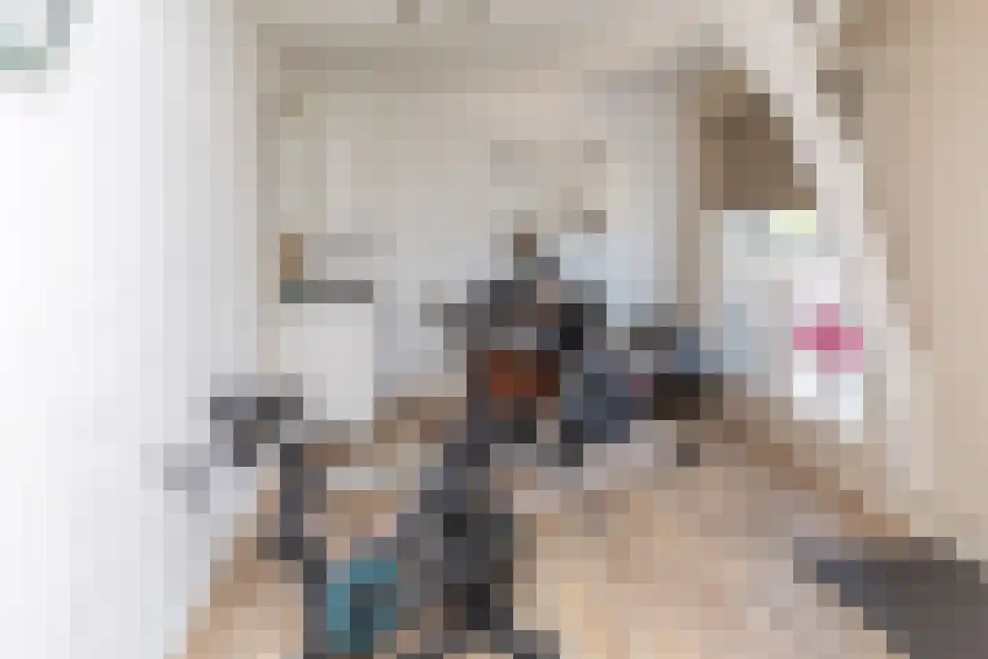 Boveneindsestraat 14 Kesteren thumbnail 46