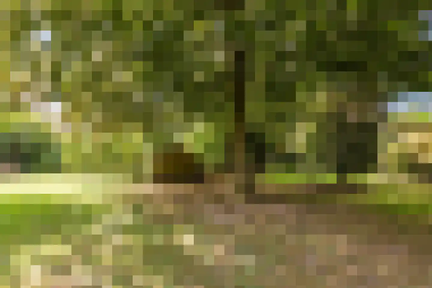 Boveneindsestraat 14 Kesteren thumbnail 48