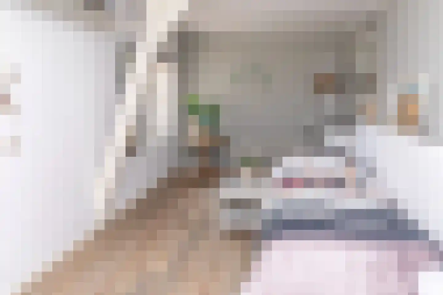 Boveneindsestraat 14 Kesteren thumbnail 48
