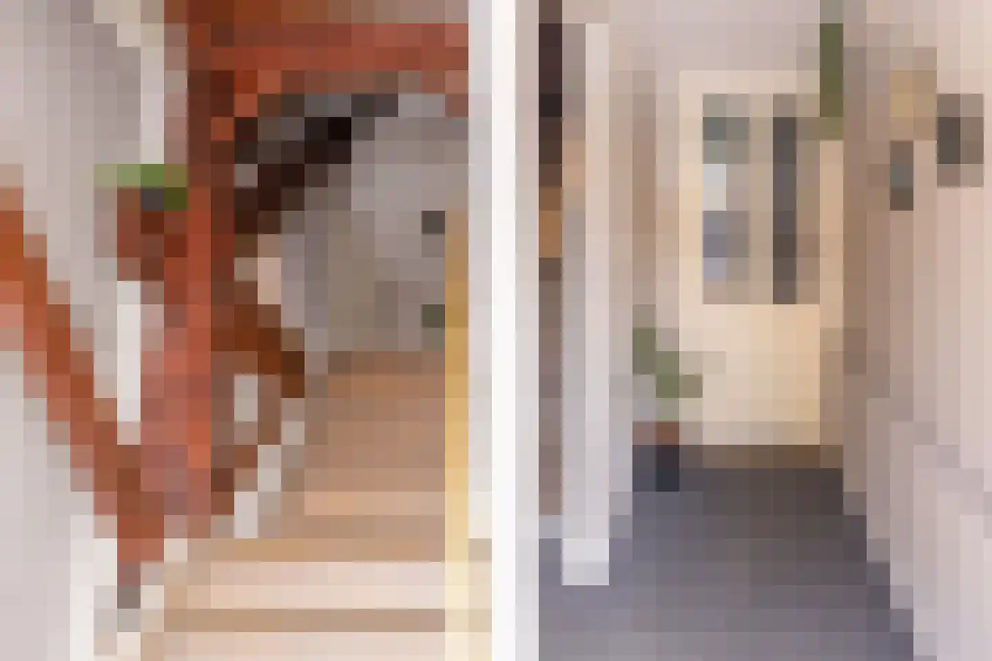 Boveneindsestraat 14 Kesteren thumbnail 53